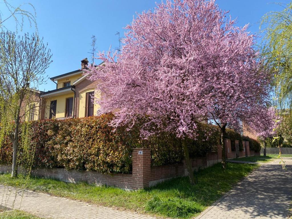 Suite Travel Home Modena Ngoại thất bức ảnh